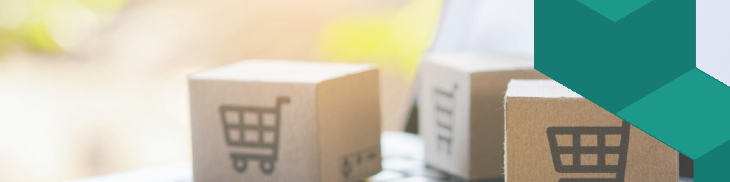 Comércio Social e Compras Online: O Impacto da Geração Z