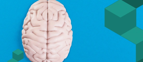 Consumidor ultrarracional: como as marcas devem se adaptar?