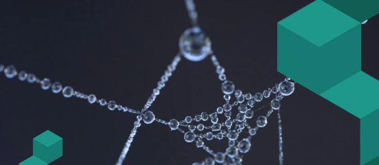 Marketing em Teia: Uma abordagem não linear que leva a empresa ao sucesso digital