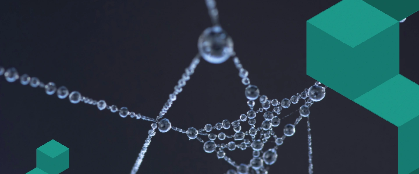 Marketing em Teia: Uma abordagem não linear que leva a empresa ao sucesso digital