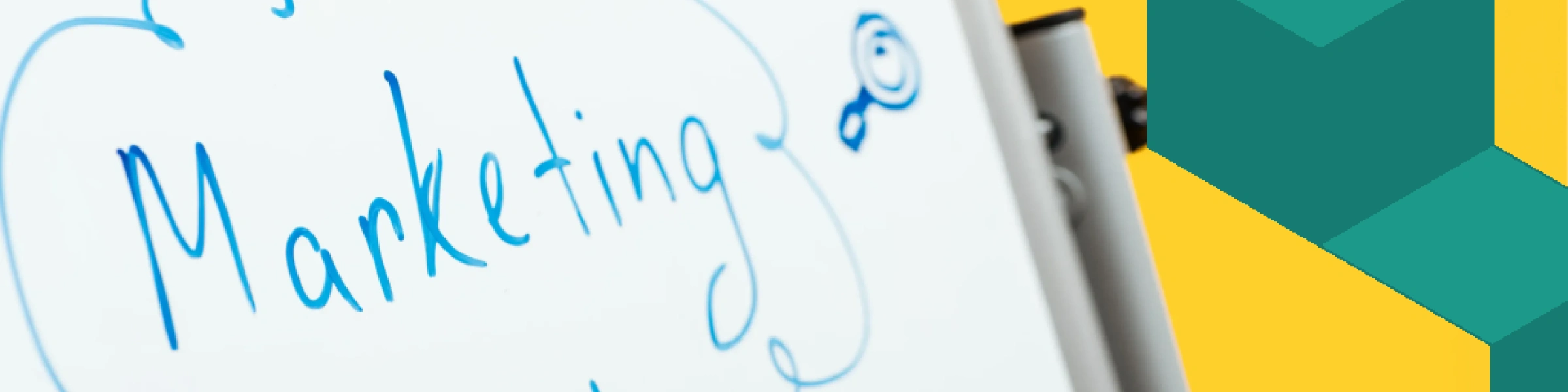 Marketing de Influência B2B: como gerar autoridade?