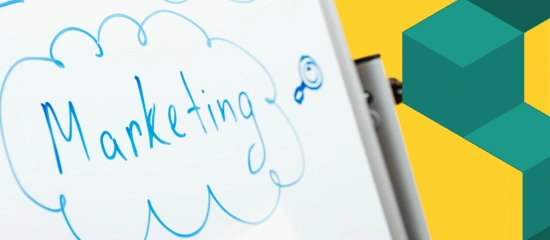 Marketing de Influência B2B: como gerar autoridade?