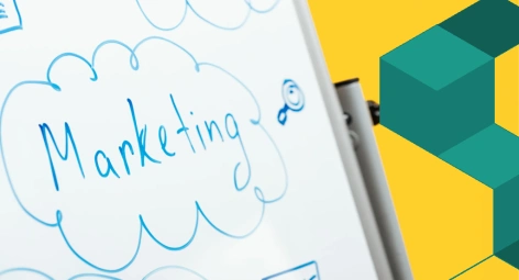 Marketing de Influência B2B: como gerar autoridade?